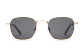 The Groove Pilot - Gold Polarized