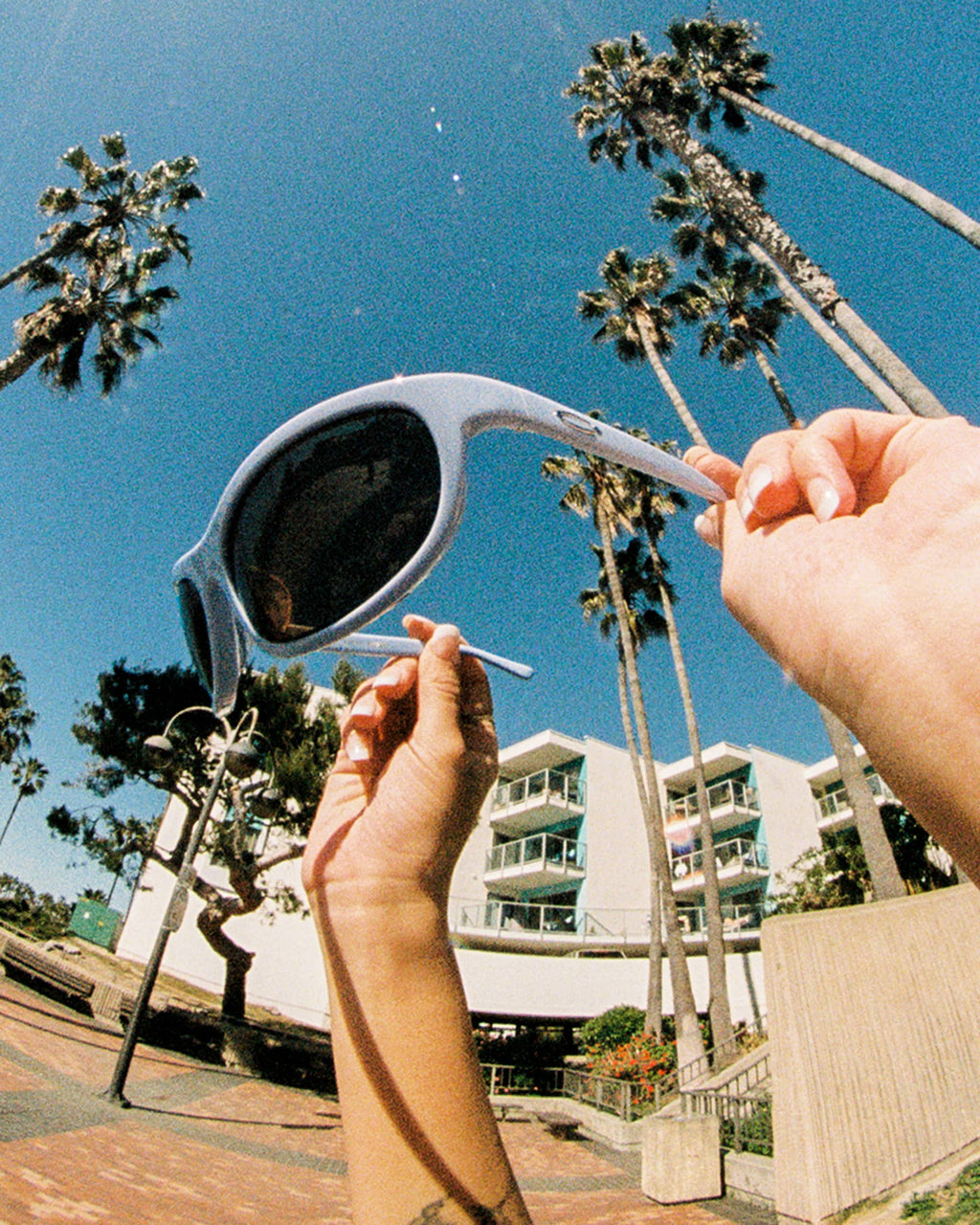 The Chaos Vault - Dusty Blue Bio