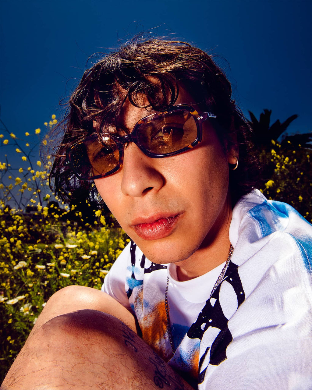 The Dream Cassette - Lunar Tortoise Bio Polarized