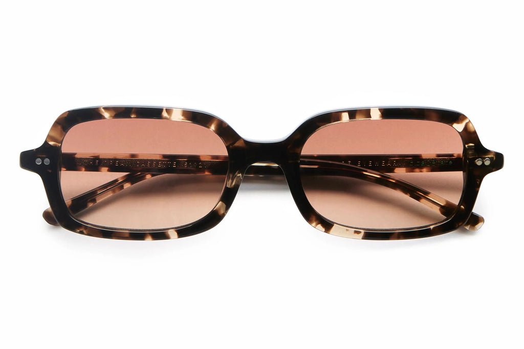 The Dream Cassette - Desert Tortoise Bio