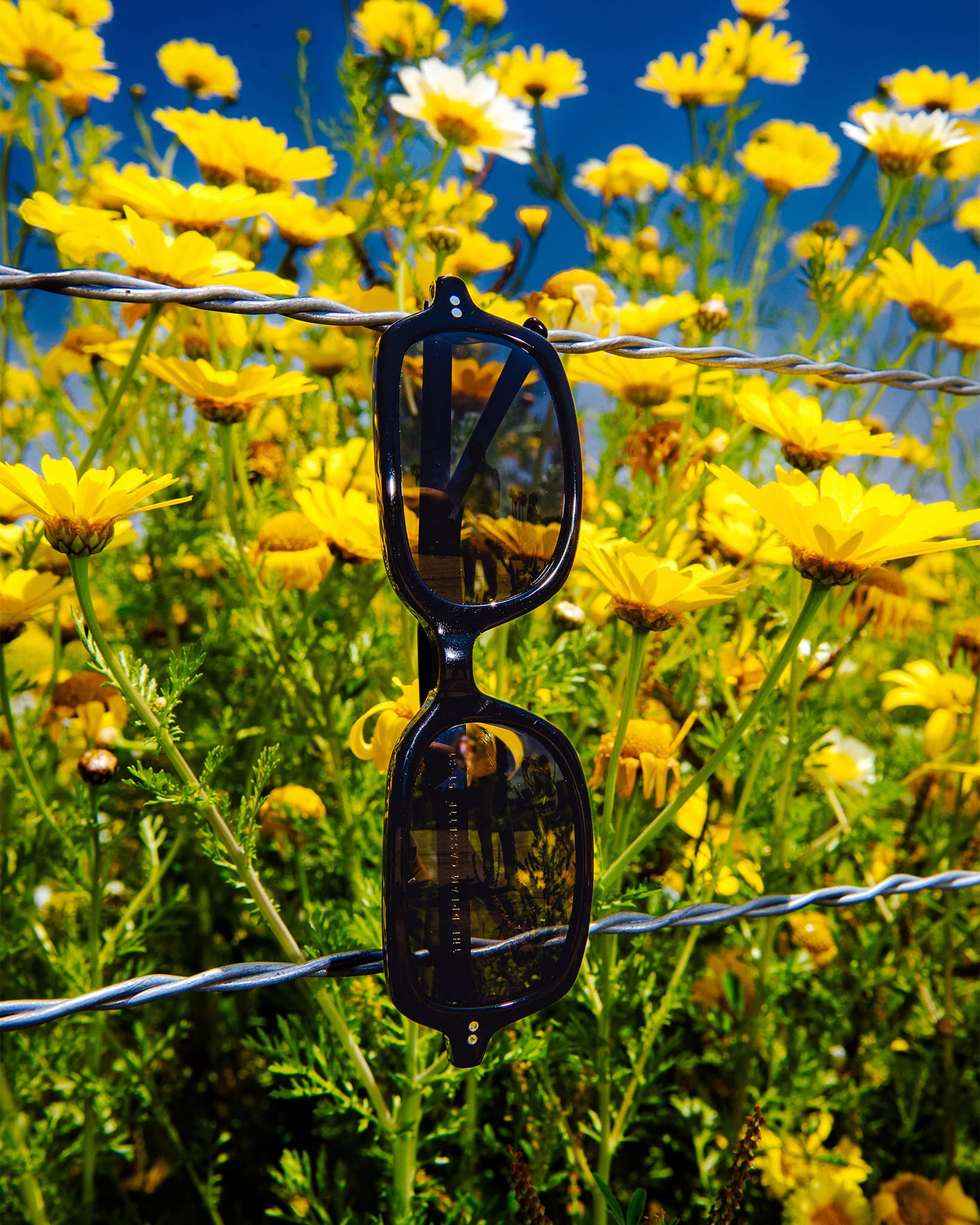 The Dream Cassette - Black Bio Polarized