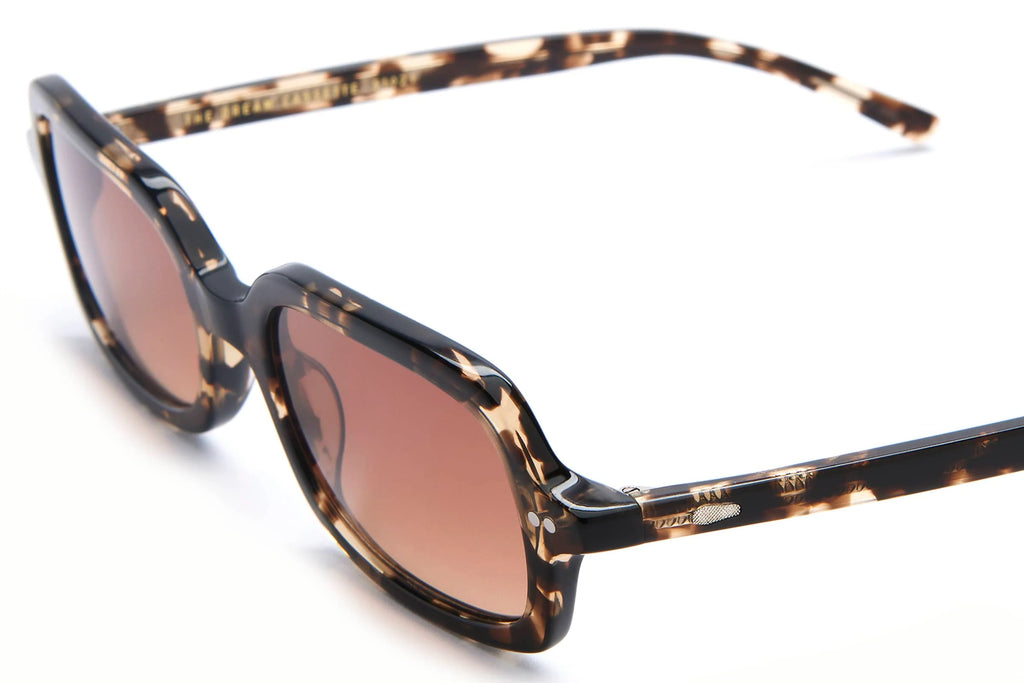 The Dream Cassette - Desert Tortoise Bio