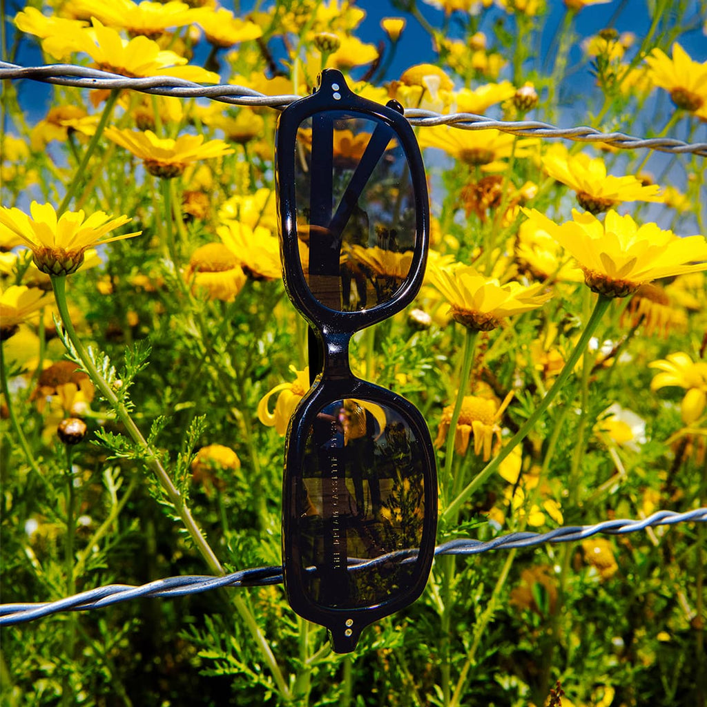 The Dream Cassette - Black Bio Polarized