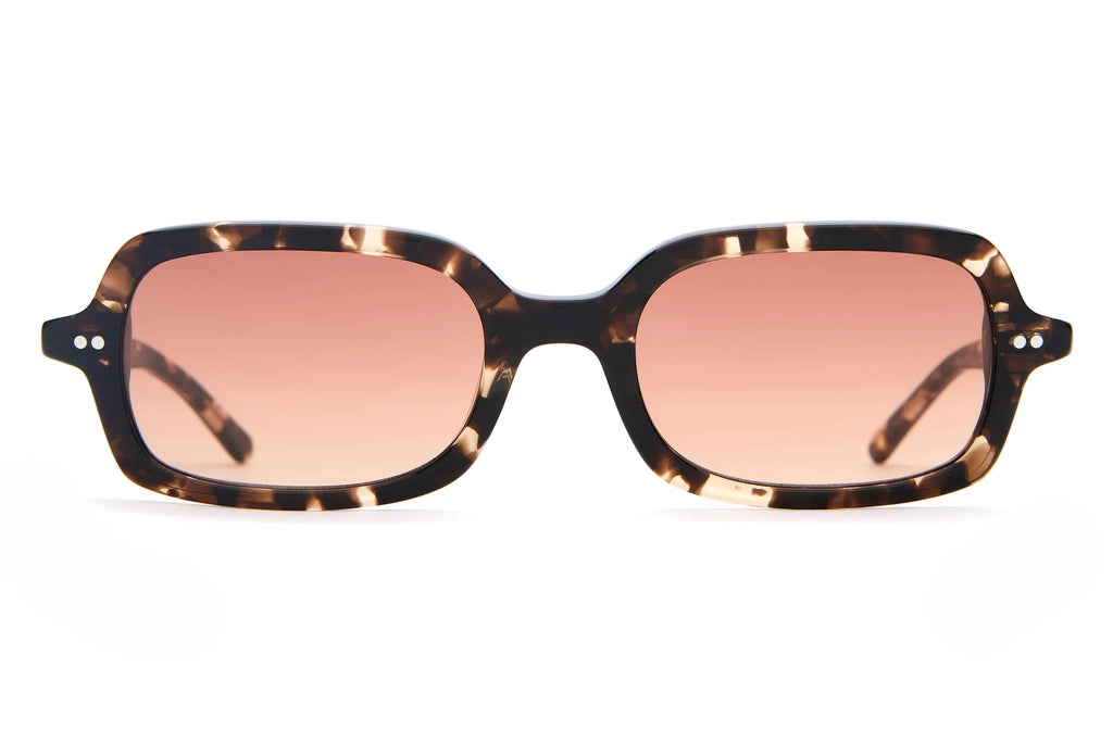 The Dream Cassette - Desert Tortoise Bio