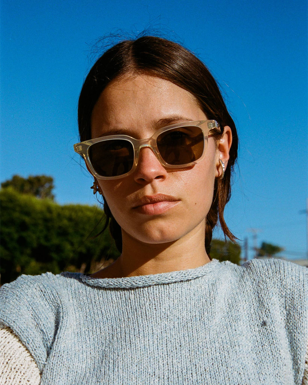 The Dropout Boogie - Crystal Champagne Bio Polarized