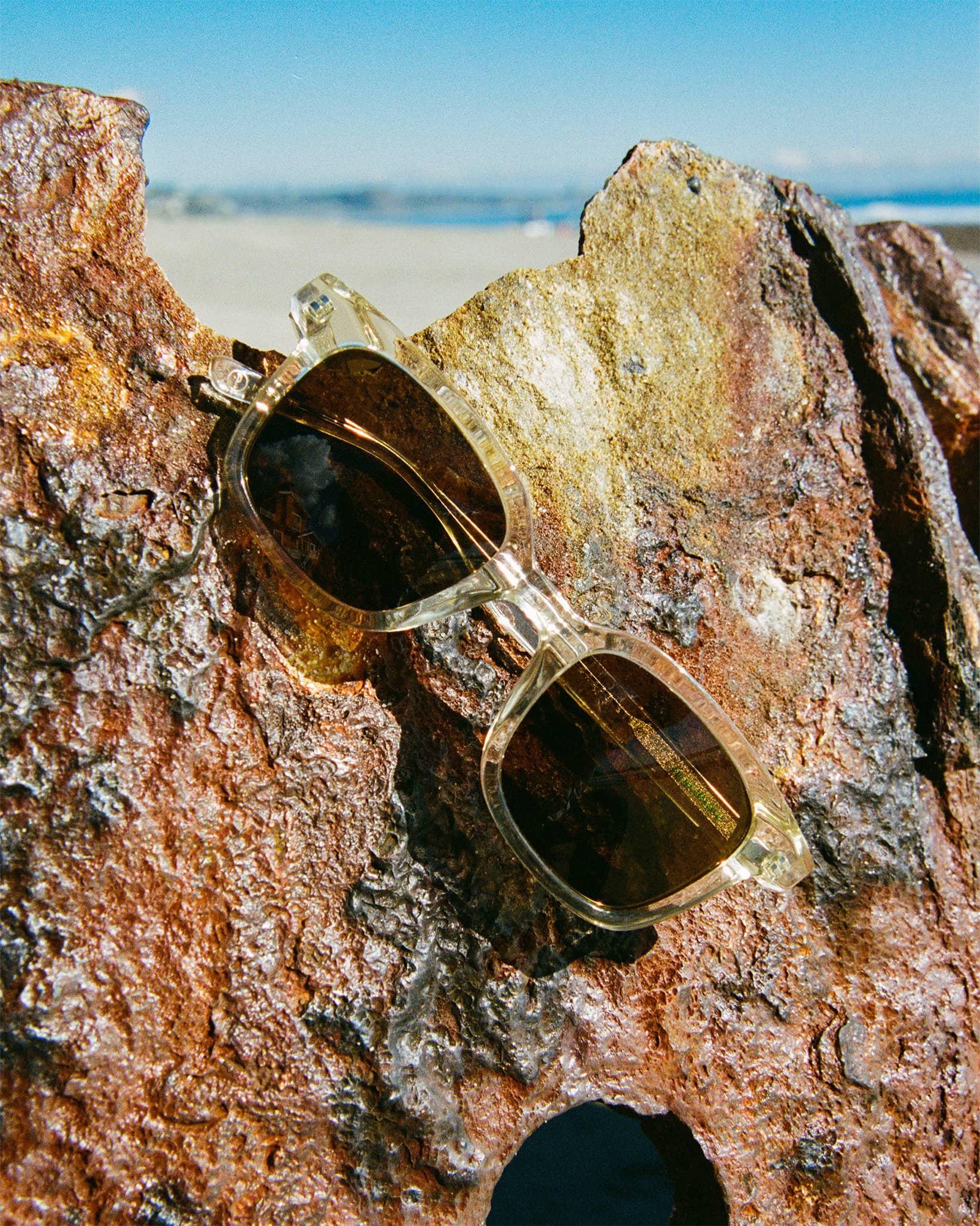 The Dropout Boogie - Crystal Champagne Bio Polarized