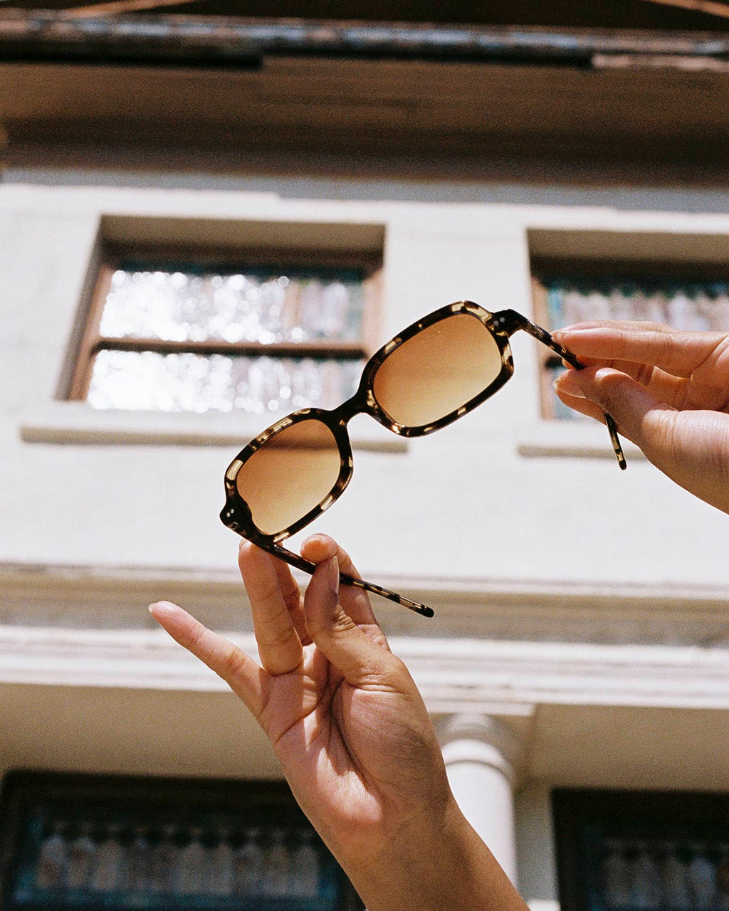 The Dream Cassette - Desert Tortoise Bio