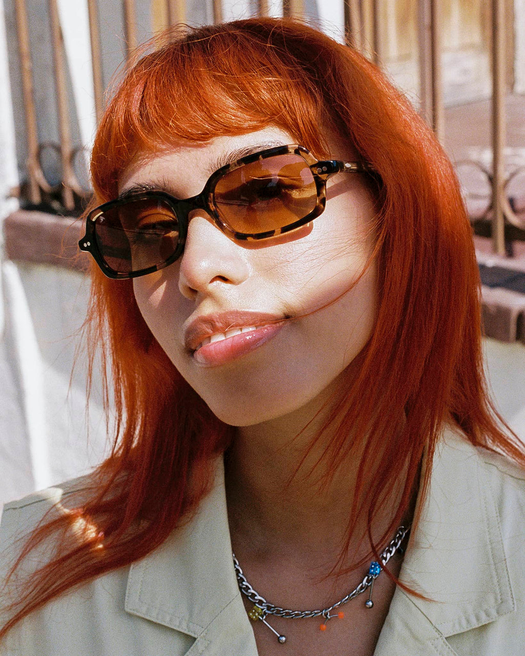 The Dream Cassette - Desert Tortoise Bio