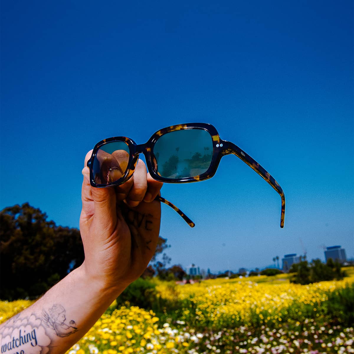 The Dream Cassette - Lunar Tortoise Bio Polarized