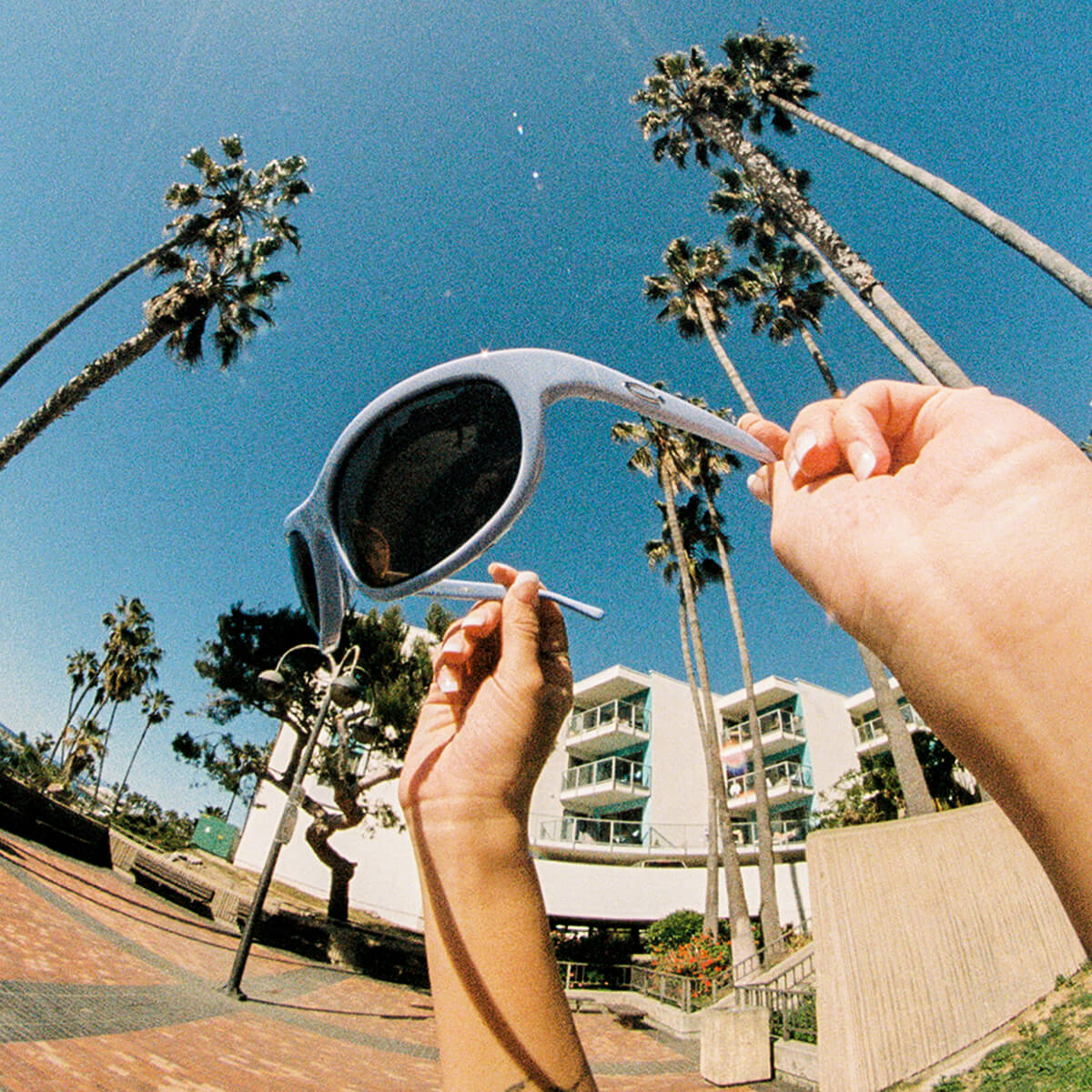 The Chaos Vault - Dusty Blue Bio