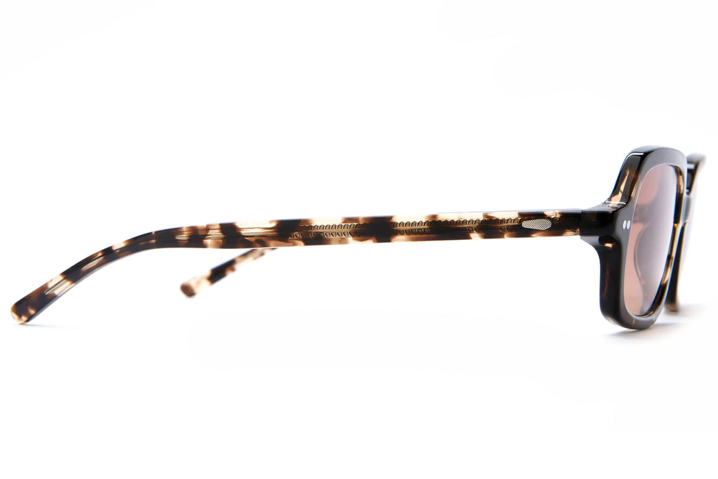 The Dream Cassette - Desert Tortoise Bio