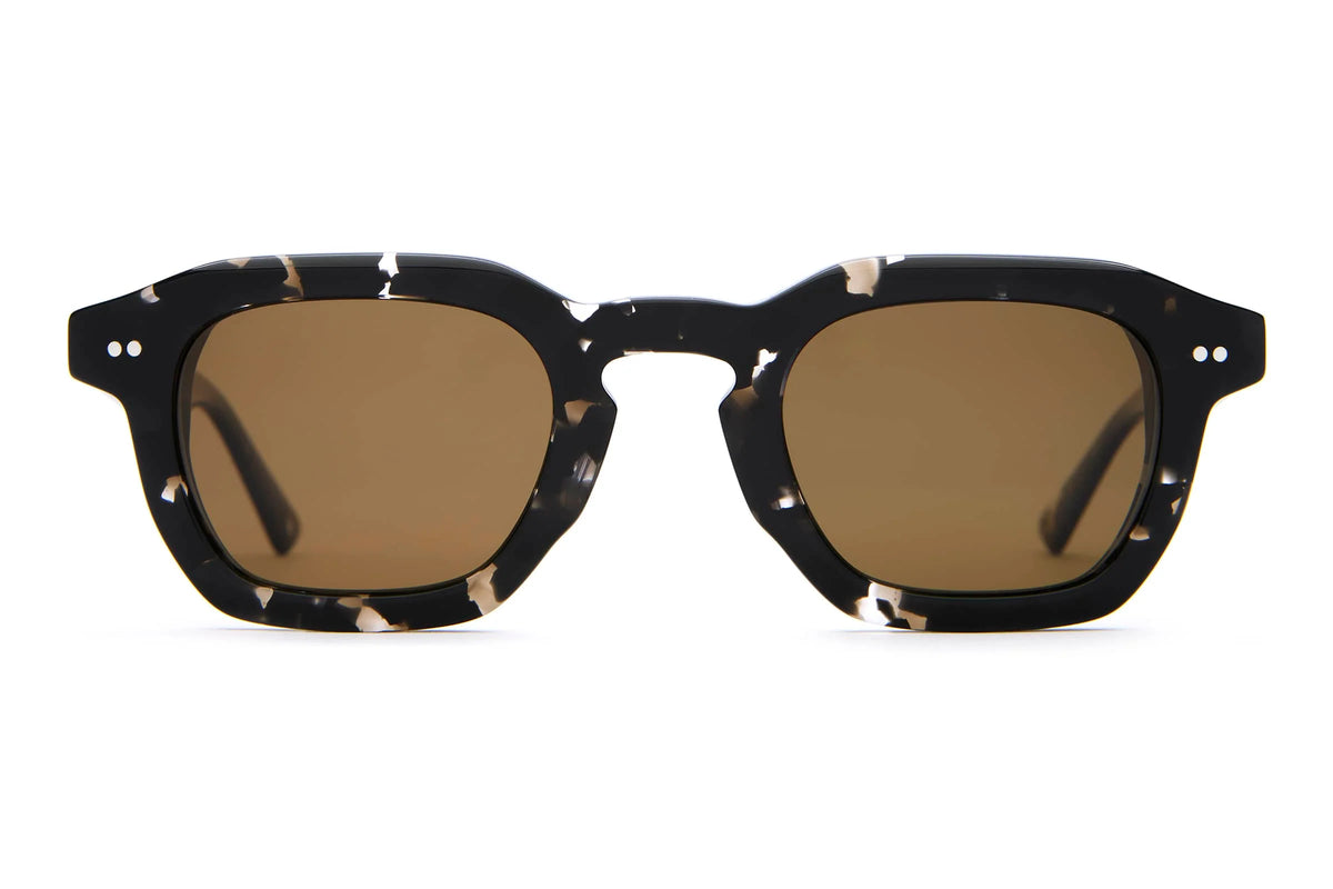The No Wave - Black Tortoise Bio Polarized